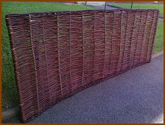 zaplet1.jpg, 56kB