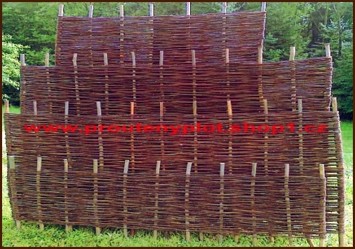 dilce2.jpg, 121kB