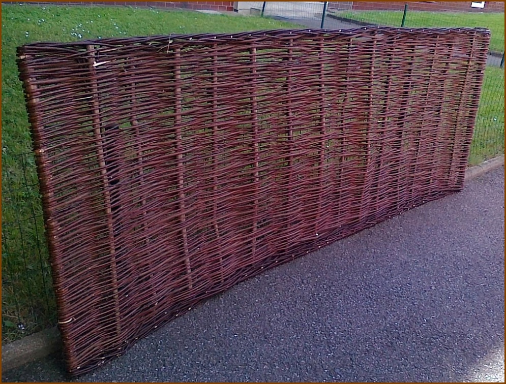 zaplet1.jpg, 384kB